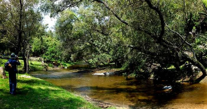 Río Salado
